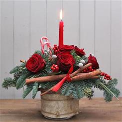 Candy Cane Lane Arrangement